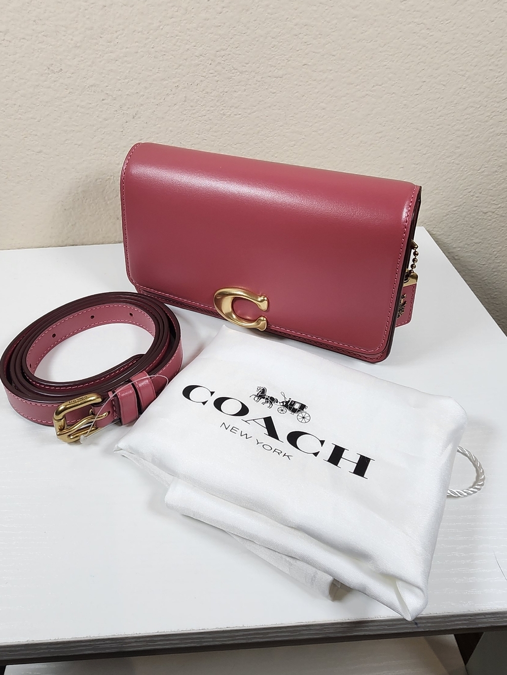 Coach Bandit Belt Bag - Picture 4 of 16